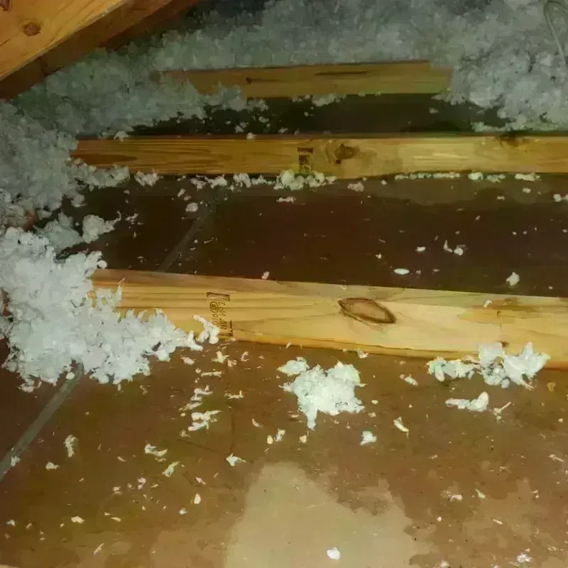 Attic Water Damage in Devils Lake, ND